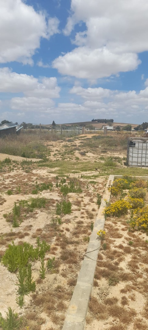 0 Bedroom Property for Sale in Hooikraal Rural Western Cape